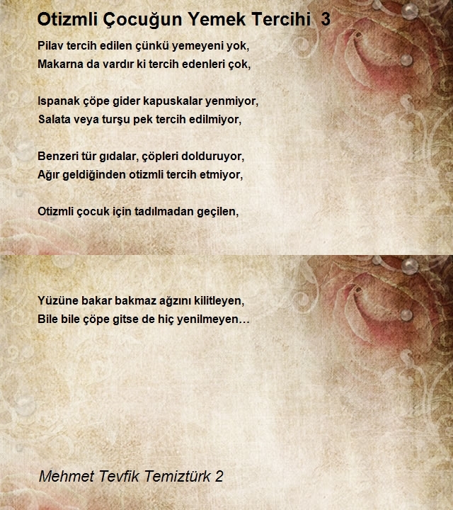 Mehmet Tevfik Temiztürk 2