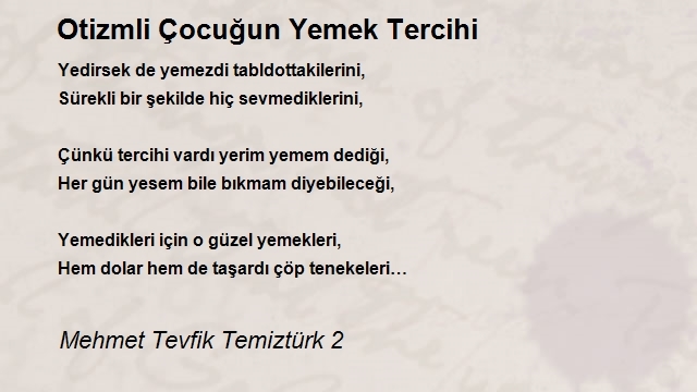 Mehmet Tevfik Temiztürk 2