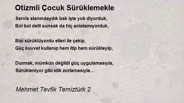 Mehmet Tevfik Temiztürk 2