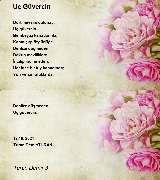 Turan Demir 3