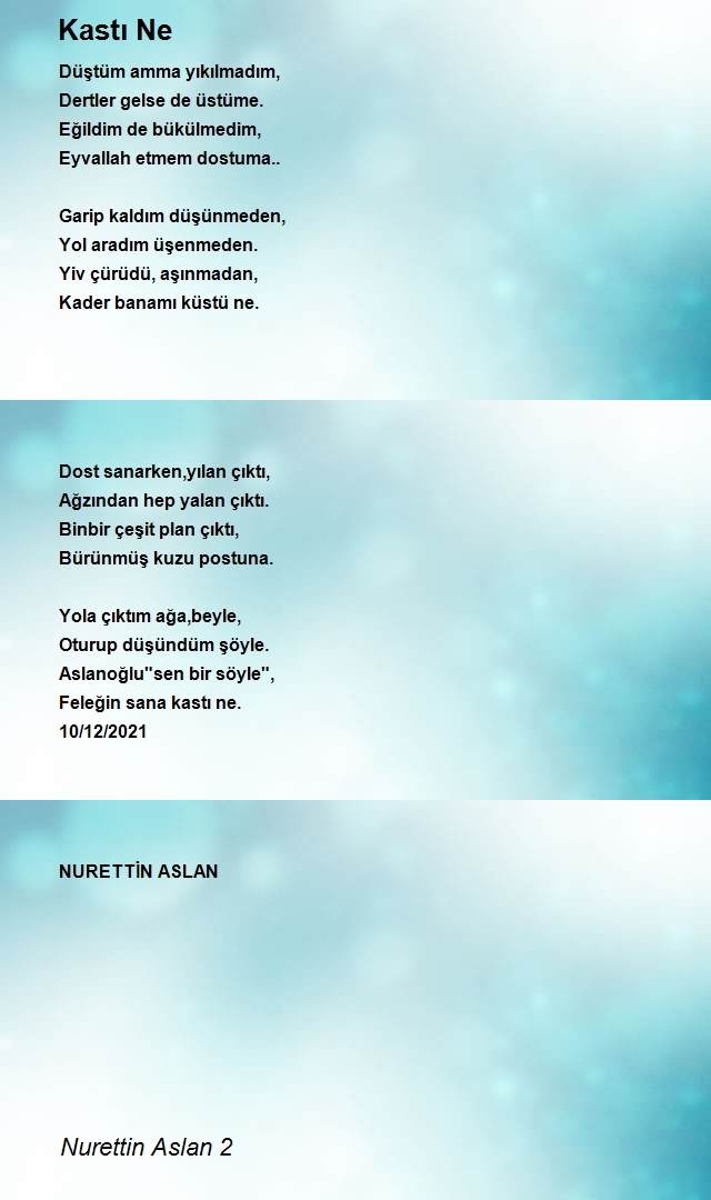 Nurettin Aslan 2