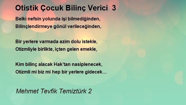 Mehmet Tevfik Temiztürk 2