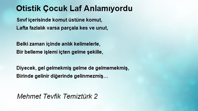 Mehmet Tevfik Temiztürk 2