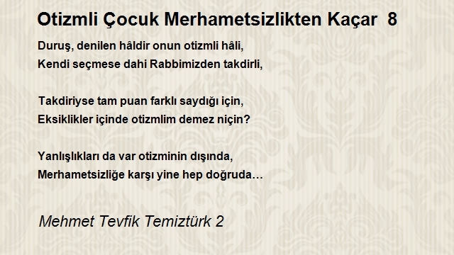 Mehmet Tevfik Temiztürk 2