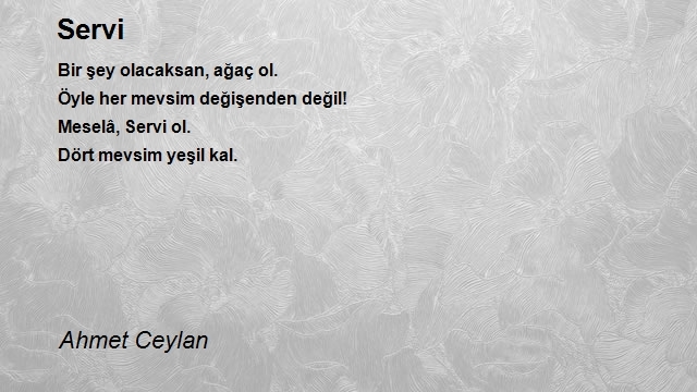 Ahmet Ceylan