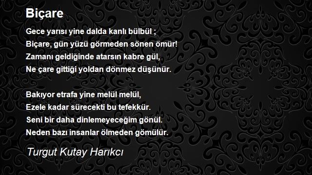 Turgut Kutay Harıkcı