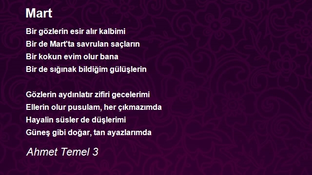 Ahmet Temel 3