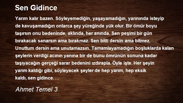 Ahmet Temel 3