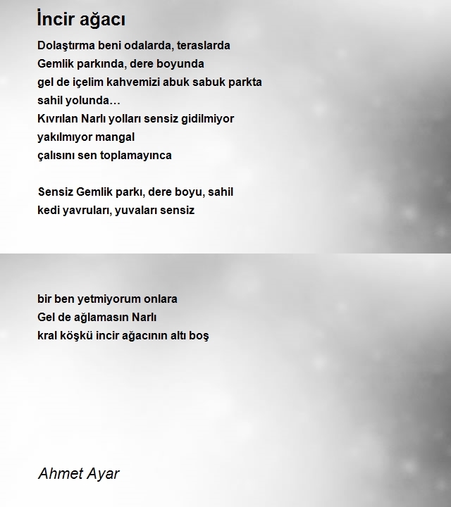 Ahmet Ayar