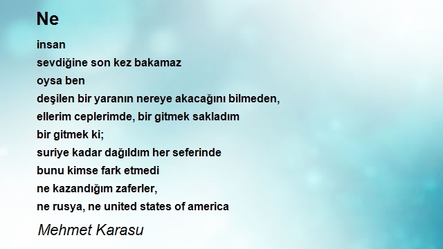 Mehmet Karasu