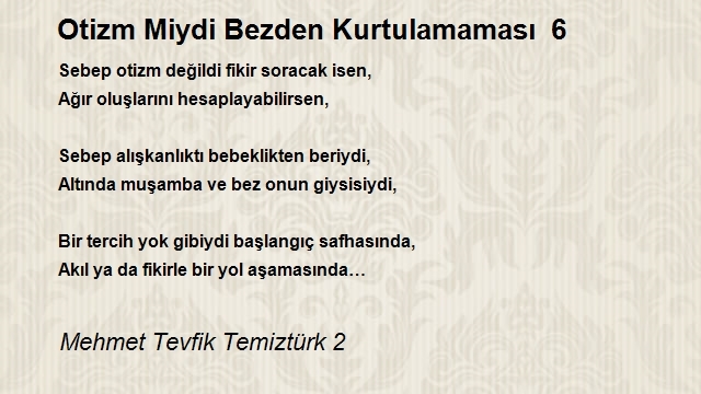 Mehmet Tevfik Temiztürk 2