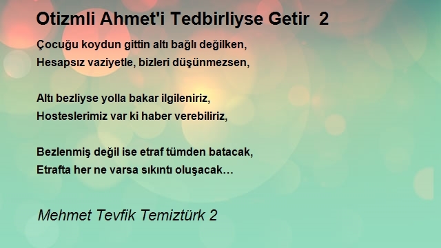 Mehmet Tevfik Temiztürk 2