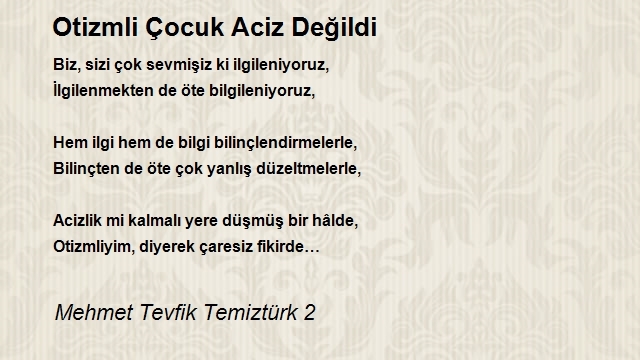 Mehmet Tevfik Temiztürk 2