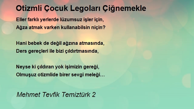 Mehmet Tevfik Temiztürk 2