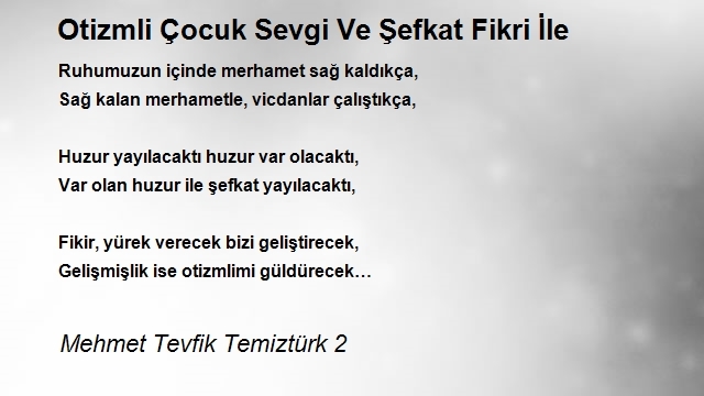 Mehmet Tevfik Temiztürk 2