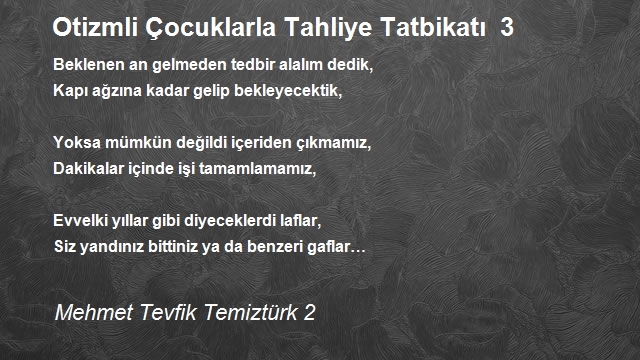 Mehmet Tevfik Temiztürk 2