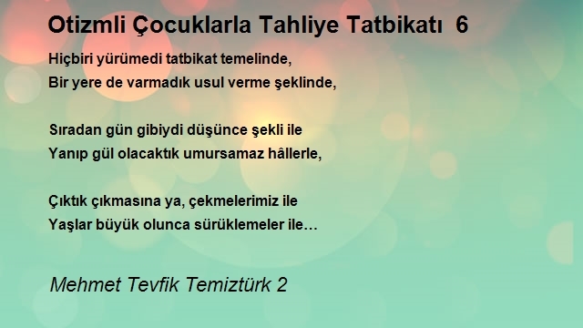 Mehmet Tevfik Temiztürk 2