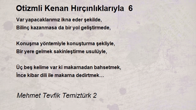 Mehmet Tevfik Temiztürk 2