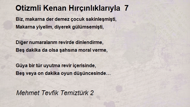 Mehmet Tevfik Temiztürk 2