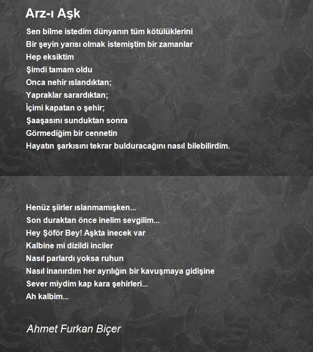 Ahmet Furkan Biçer