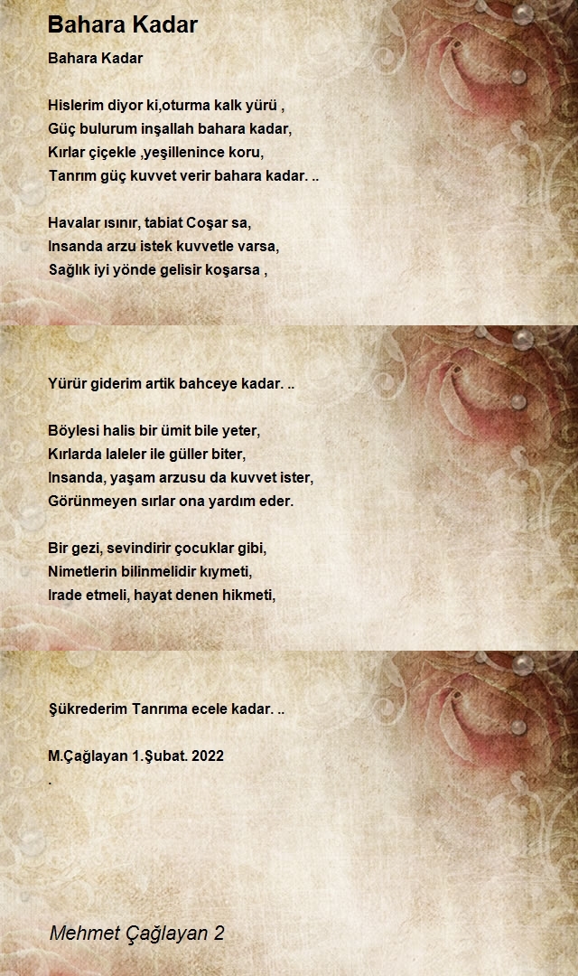 Mehmet Çağlayan 2