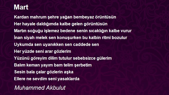 Muhammed Akbulut