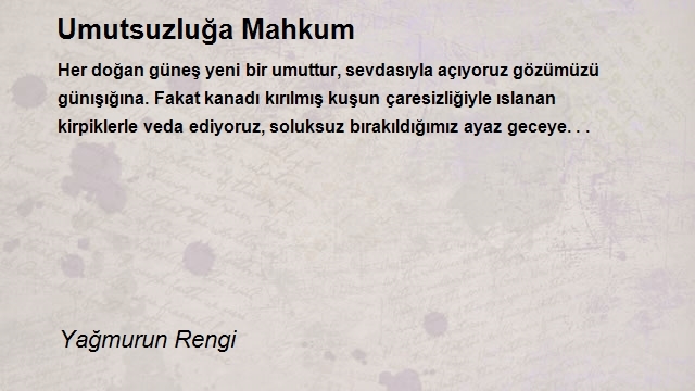 Yağmurun Rengi