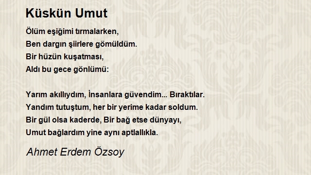 Ahmet Erdem Özsoy