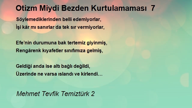 Mehmet Tevfik Temiztürk 2