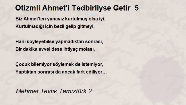 Mehmet Tevfik Temiztürk 2