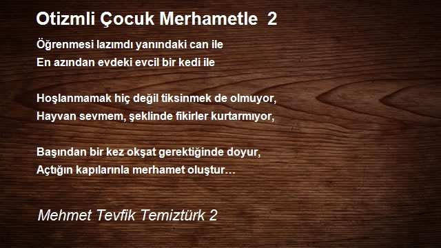 Mehmet Tevfik Temiztürk 2