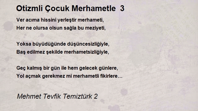 Mehmet Tevfik Temiztürk 2