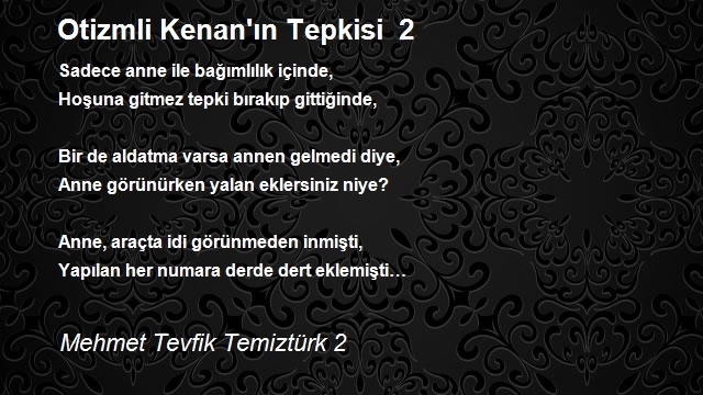 Mehmet Tevfik Temiztürk 2