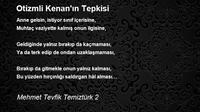 Mehmet Tevfik Temiztürk 2