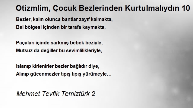 Mehmet Tevfik Temiztürk 2