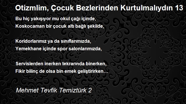 Mehmet Tevfik Temiztürk 2