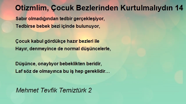 Mehmet Tevfik Temiztürk 2