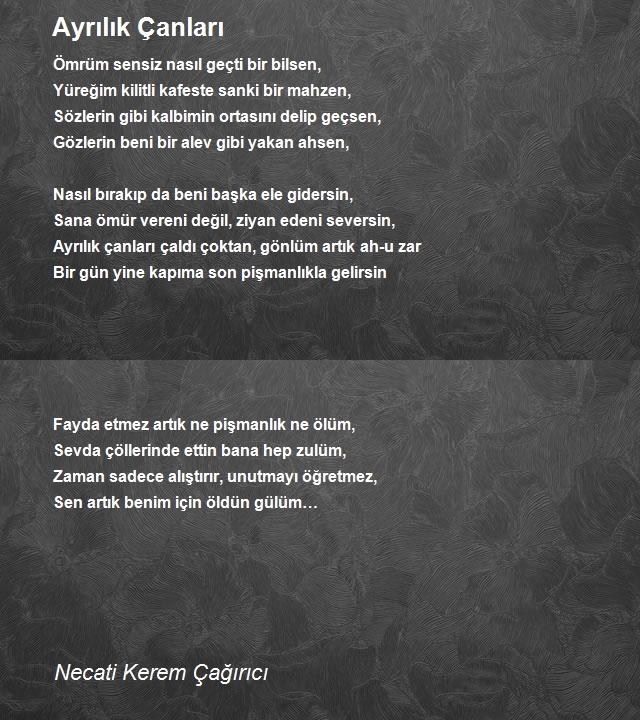 Necati Kerem Çağırıcı