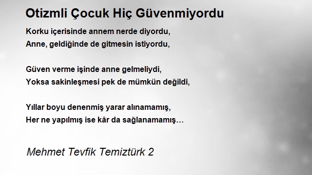 Mehmet Tevfik Temiztürk 2