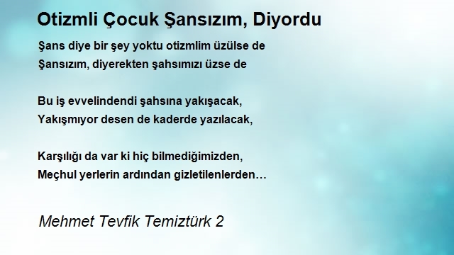 Mehmet Tevfik Temiztürk 2