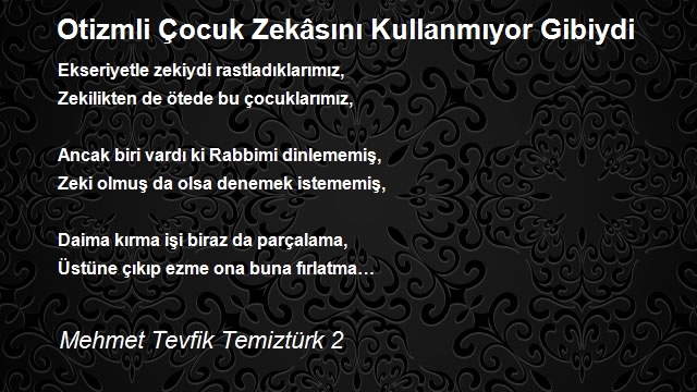 Mehmet Tevfik Temiztürk 2