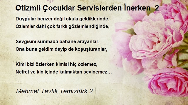 Mehmet Tevfik Temiztürk 2