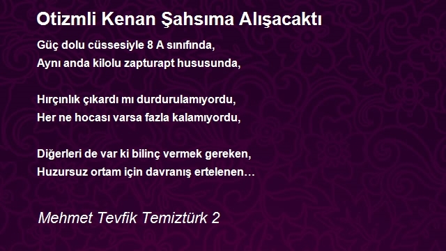 Mehmet Tevfik Temiztürk 2