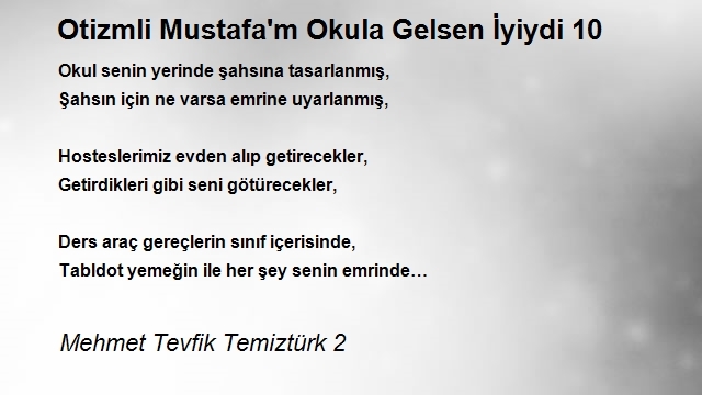 Mehmet Tevfik Temiztürk 2