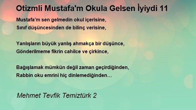 Mehmet Tevfik Temiztürk 2