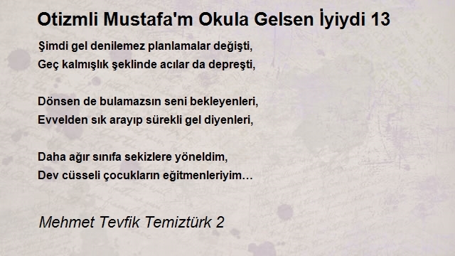 Mehmet Tevfik Temiztürk 2