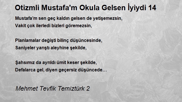 Mehmet Tevfik Temiztürk 2