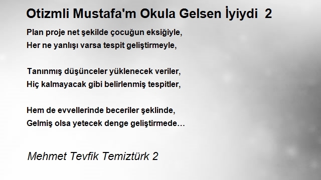 Mehmet Tevfik Temiztürk 2