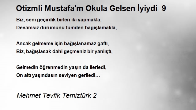 Mehmet Tevfik Temiztürk 2