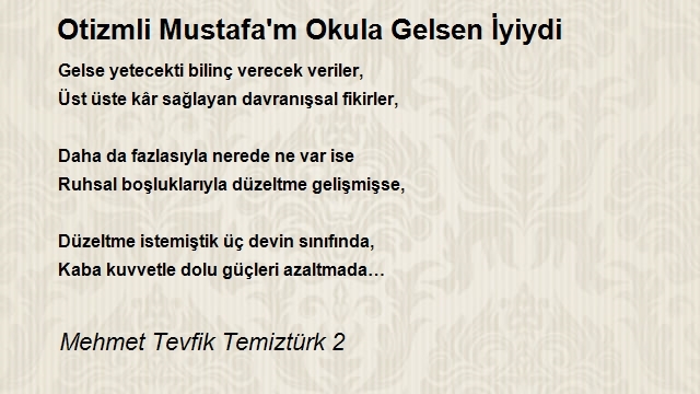 Mehmet Tevfik Temiztürk 2